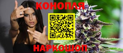 PSILOCYBIN Кунгур