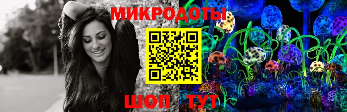 Псилоцибиновые грибы Cubensis Калач-на-Дону